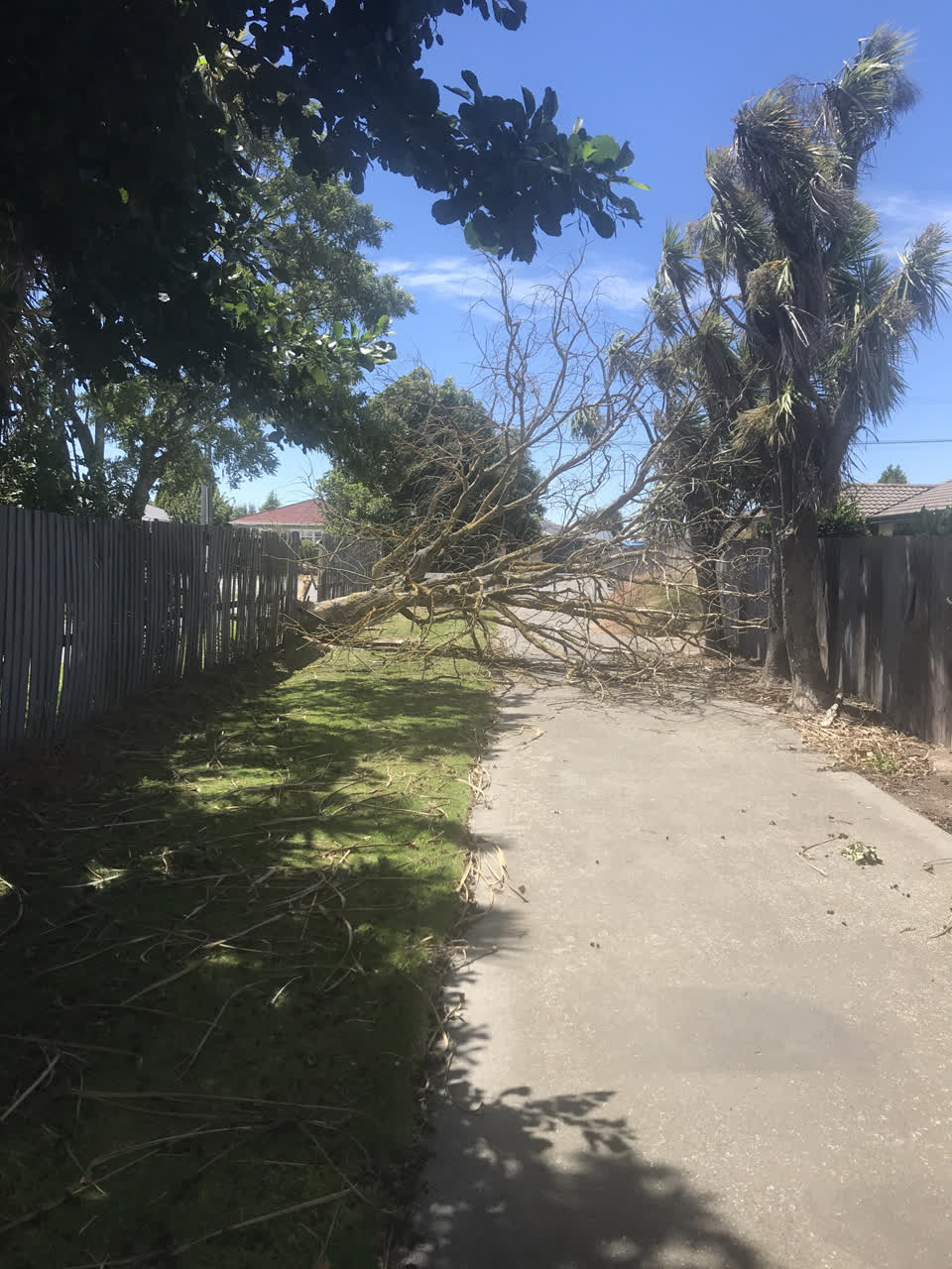 The photograph attached to this parks report