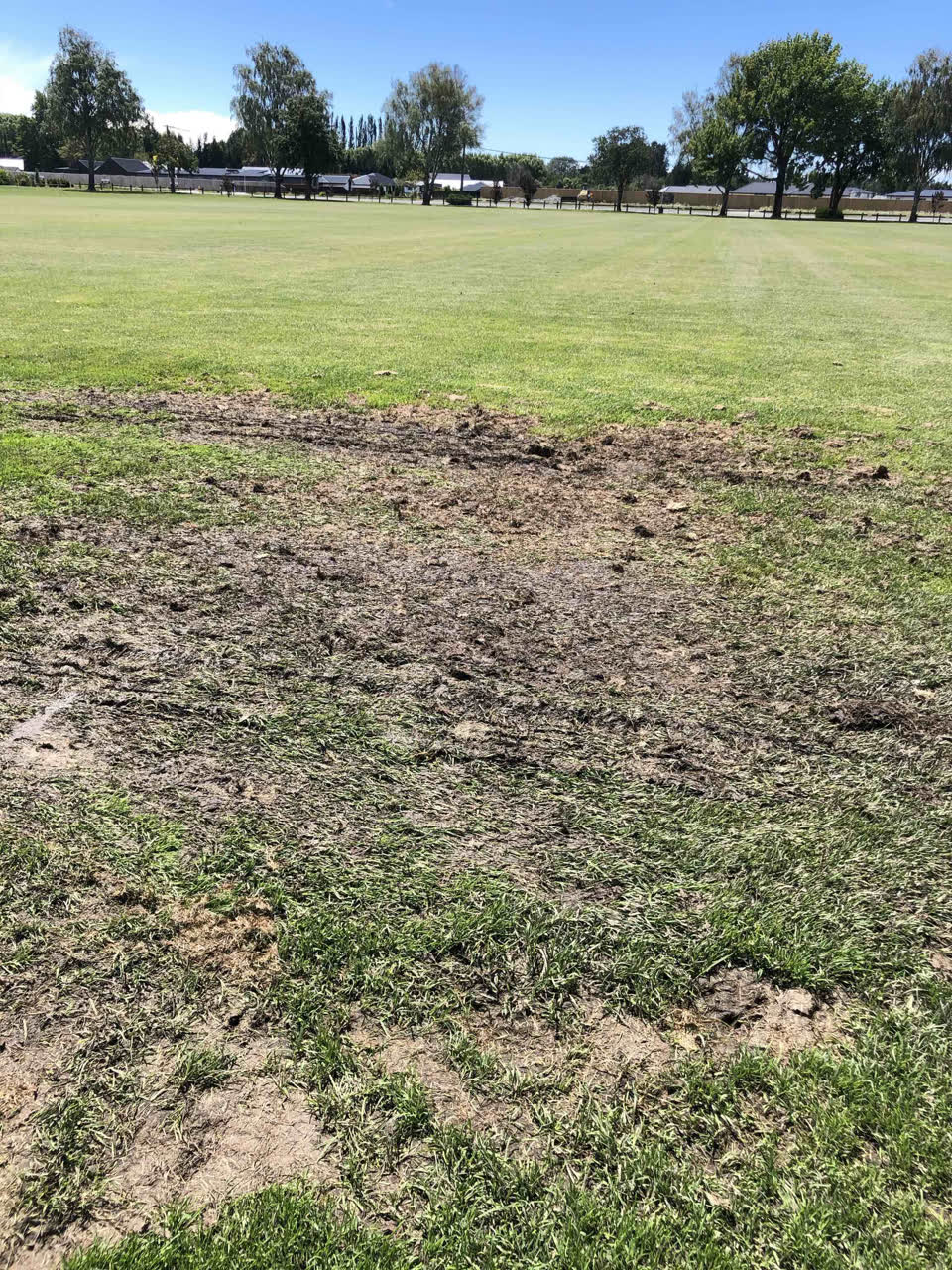 The photograph attached to this parks report