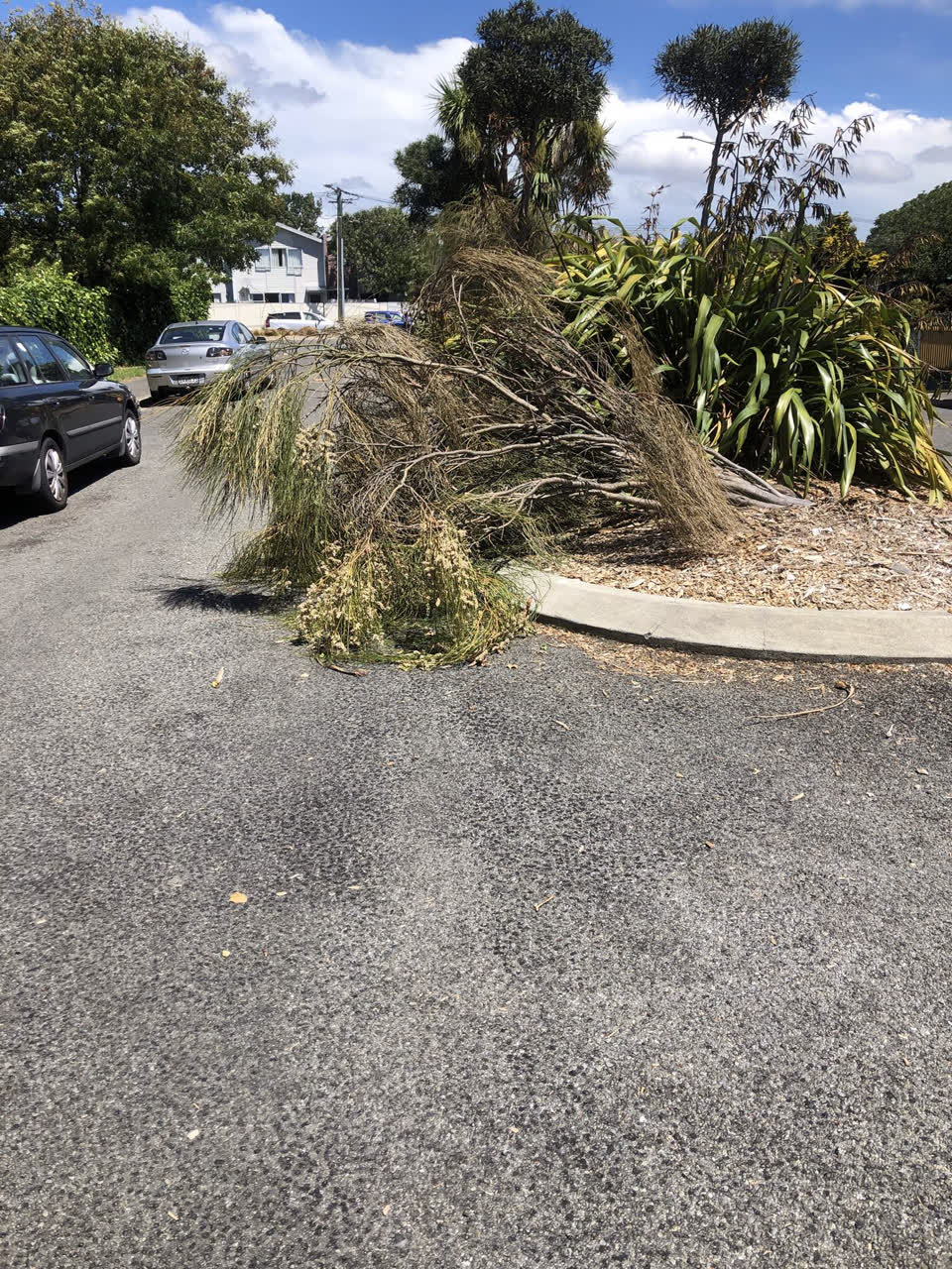 The photograph attached to this roading/streets report