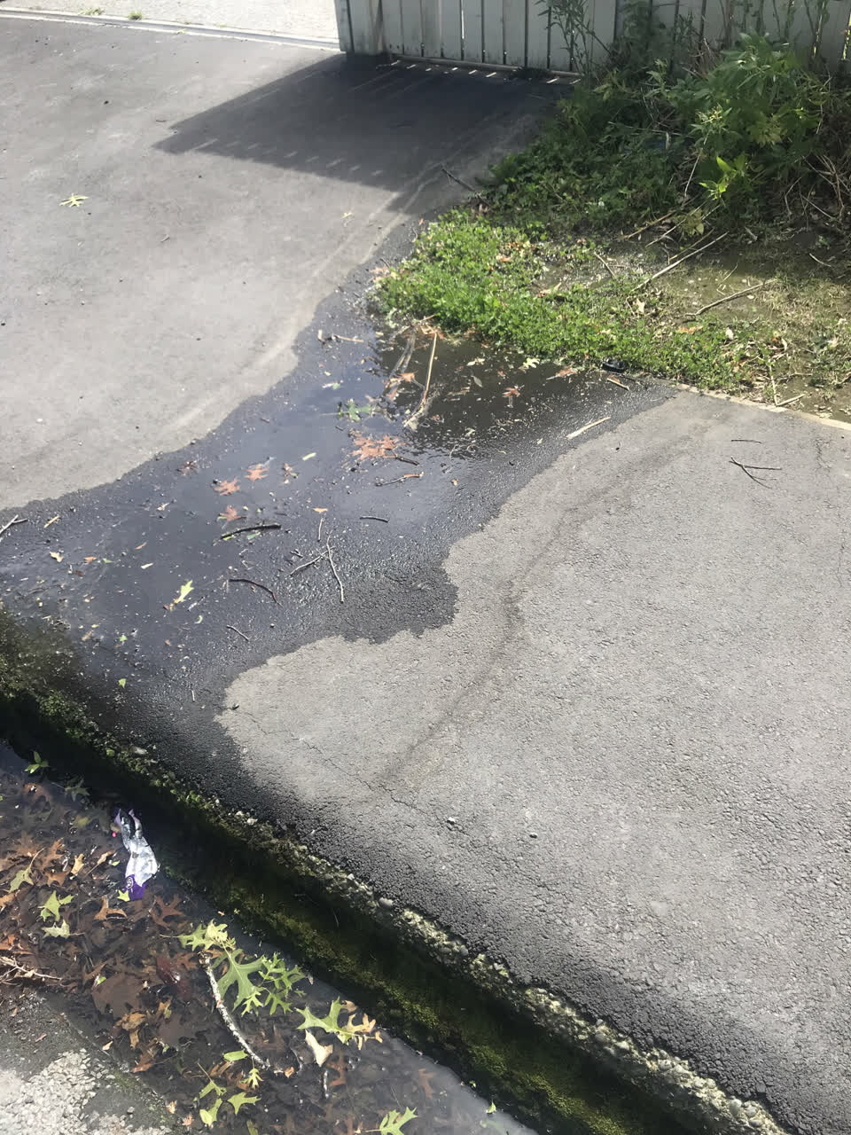 The photograph attached to this water leak report