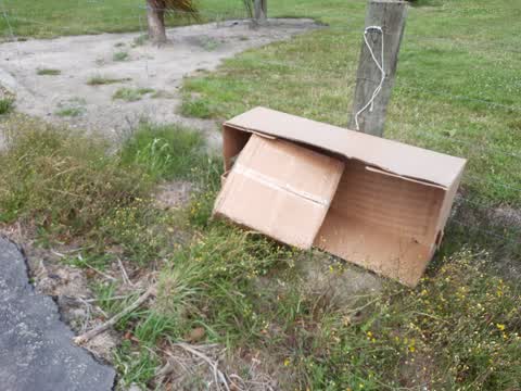 Rubbish/Recycling, a report photo