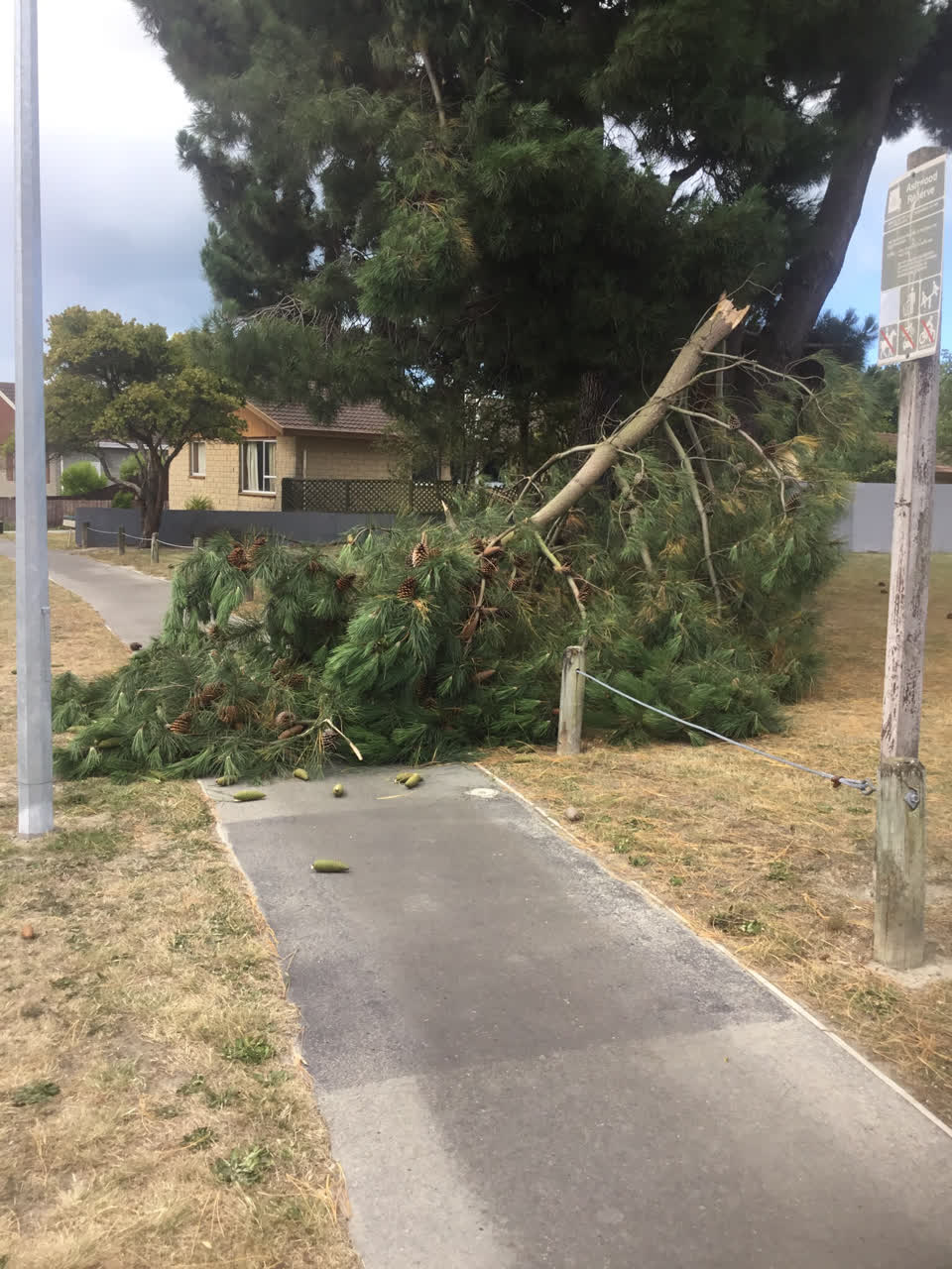 The photograph attached to this parks report