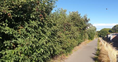 Street Light Outage, a report photo