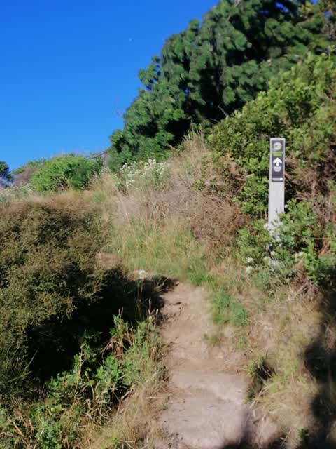 Parks, a report photo