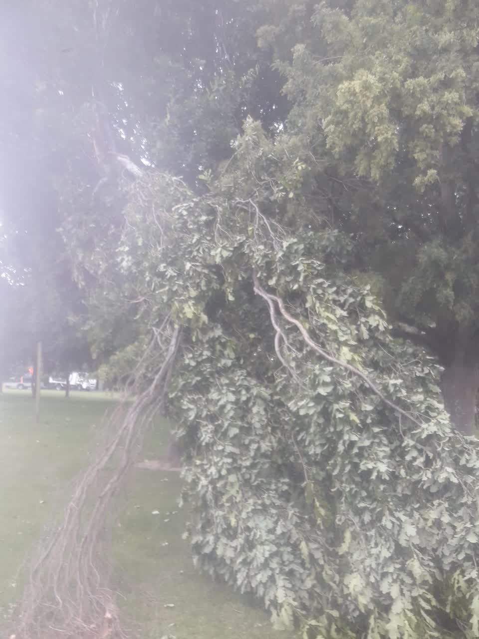 The photograph attached to this parks report