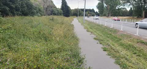 Roading/Streets, a report photo