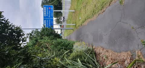 Roading/Streets, a report photo