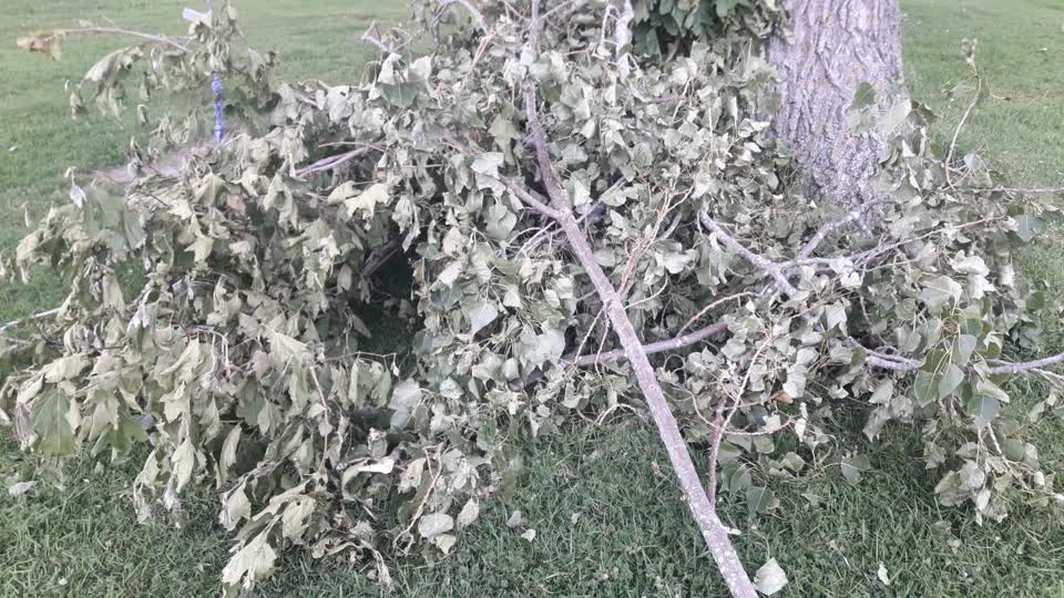 The photograph attached to this parks report