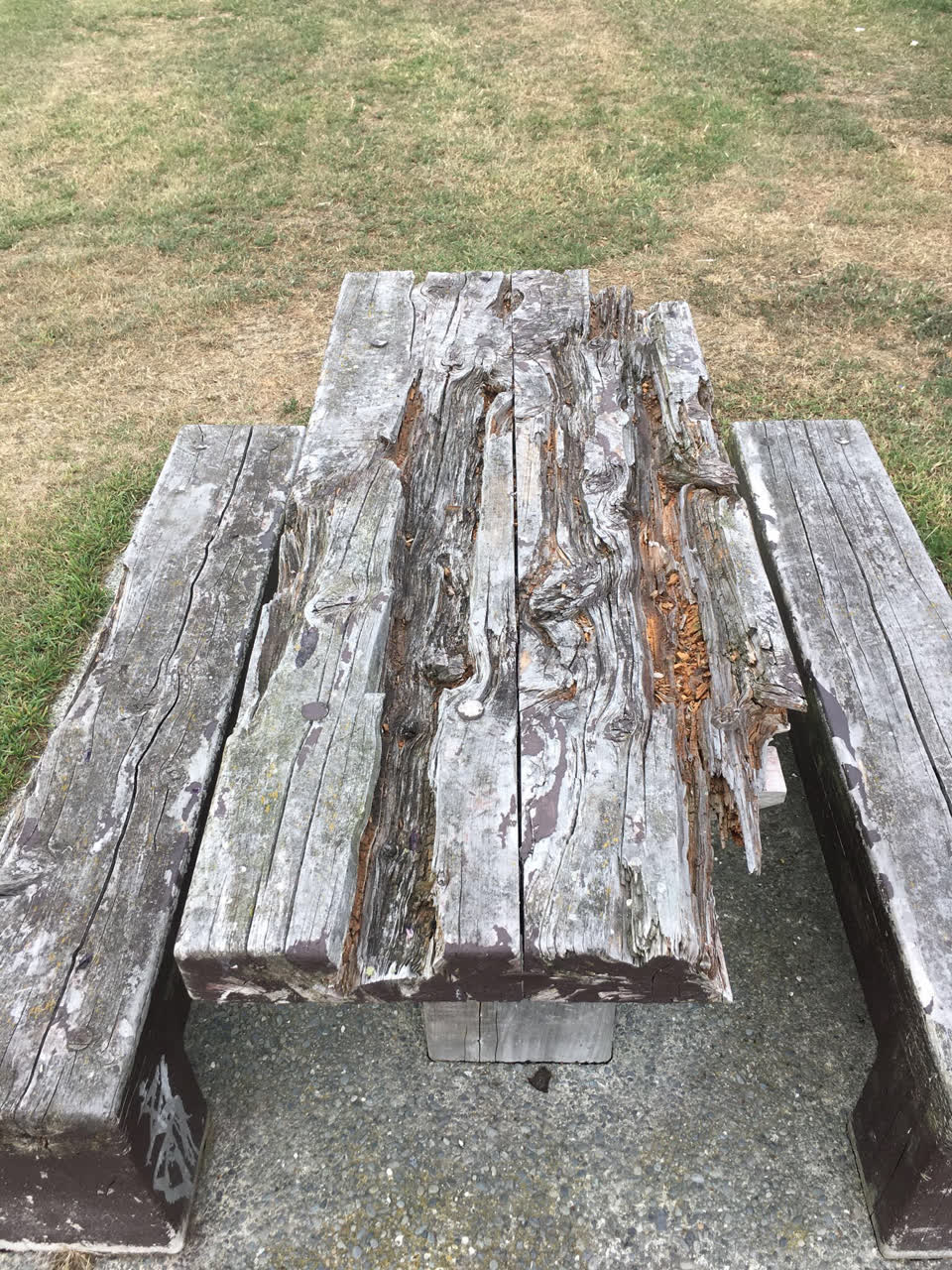 The photograph attached to this parks report