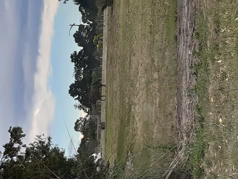 Parks, a report photo