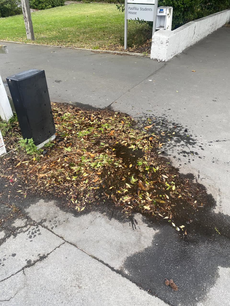 The photograph attached to this water supply report
