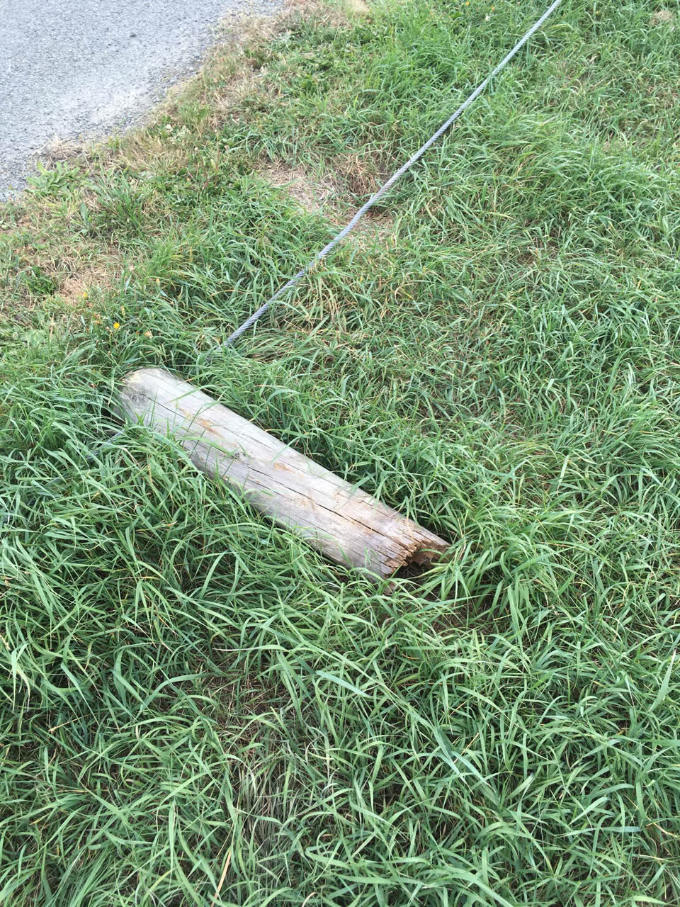 The photograph attached to this parks report