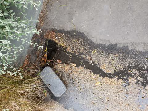 Water Leak, a report photo