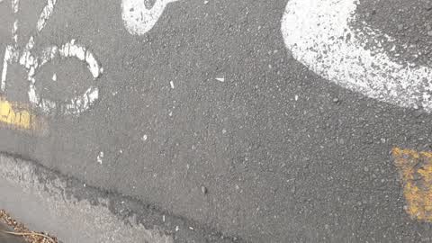 Roading/Streets, a report photo