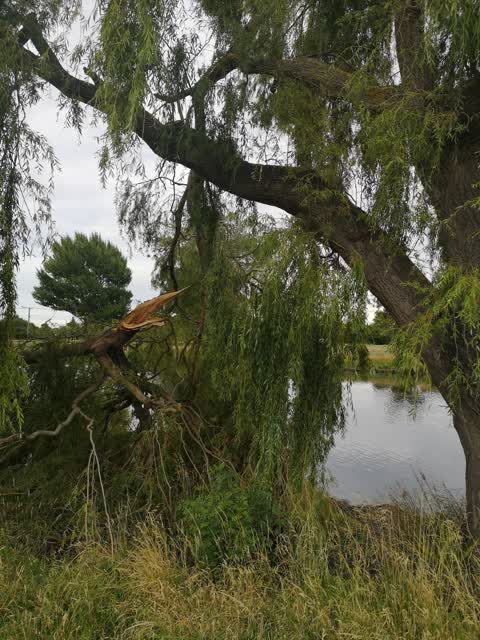 Parks, a report photo