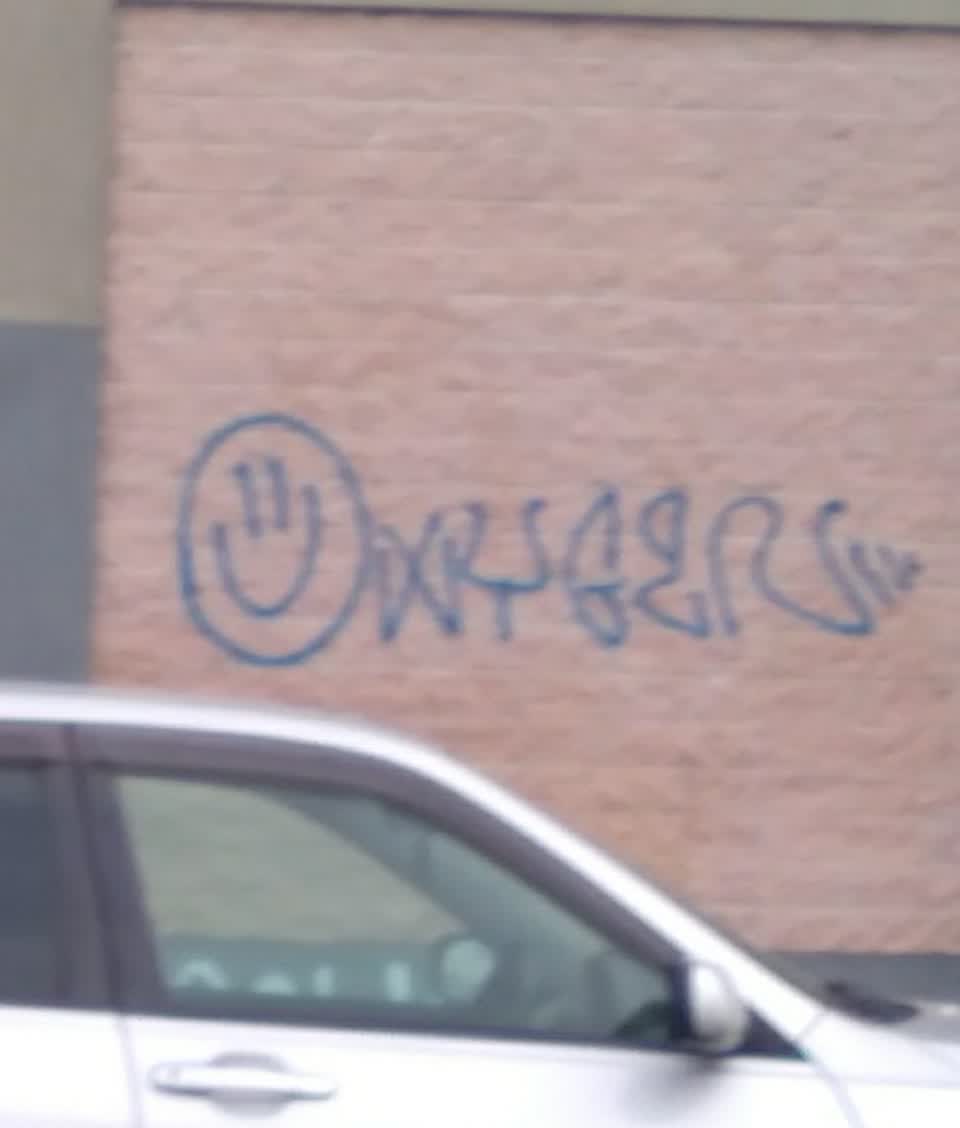 The photograph attached to this graffiti report