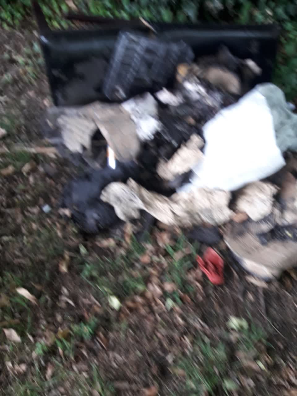 The photograph attached to this parks report