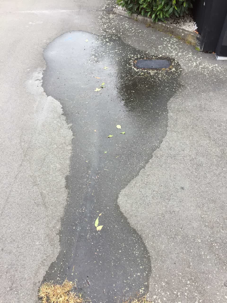 The photograph attached to this water leak report