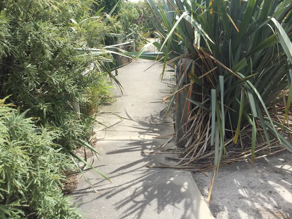 The photograph attached to this parks report