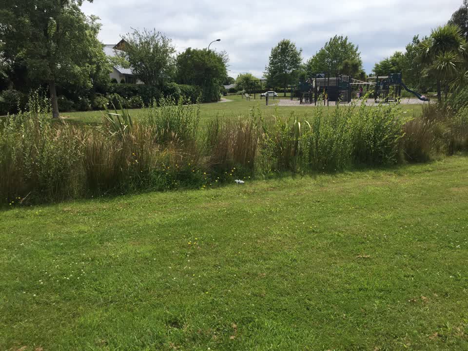 The photograph attached to this parks report