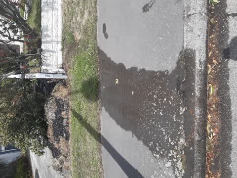 Water Leak, a report photo
