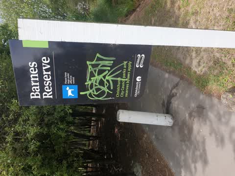Graffiti — a report photo