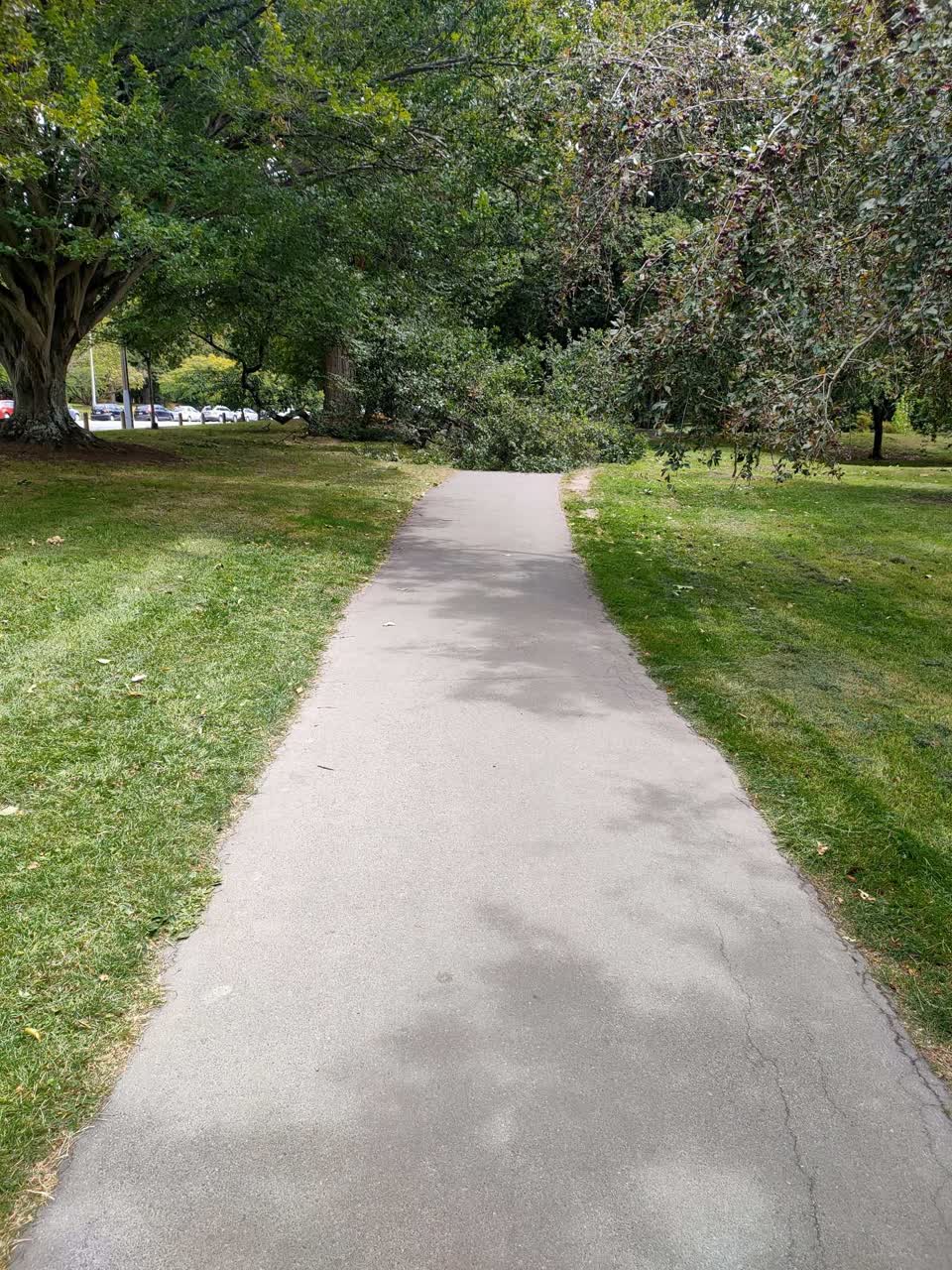 The photograph attached to this parks report