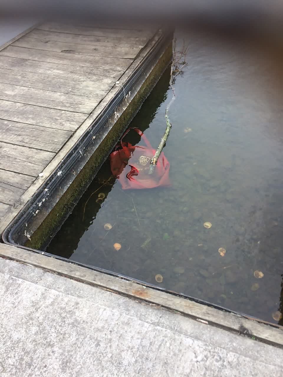 The photograph attached to this parks report