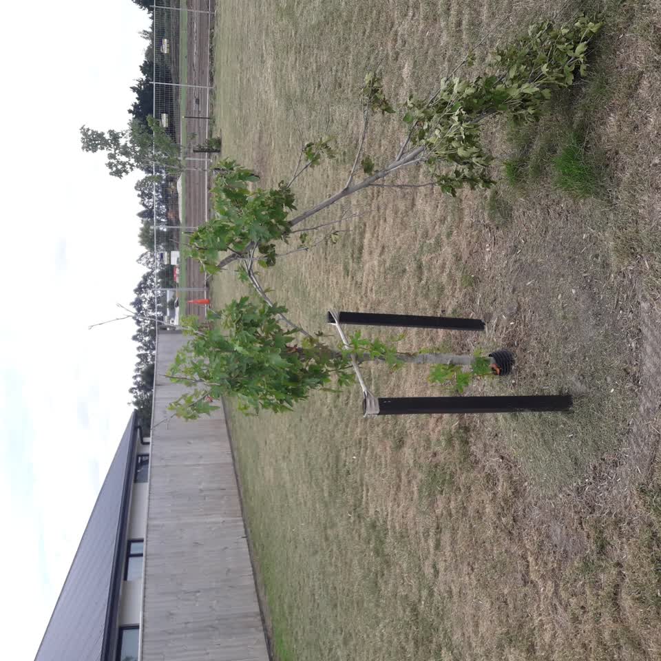 The photograph attached to this parks report