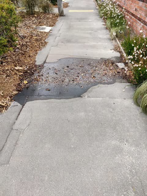 Water Leak, a report photo