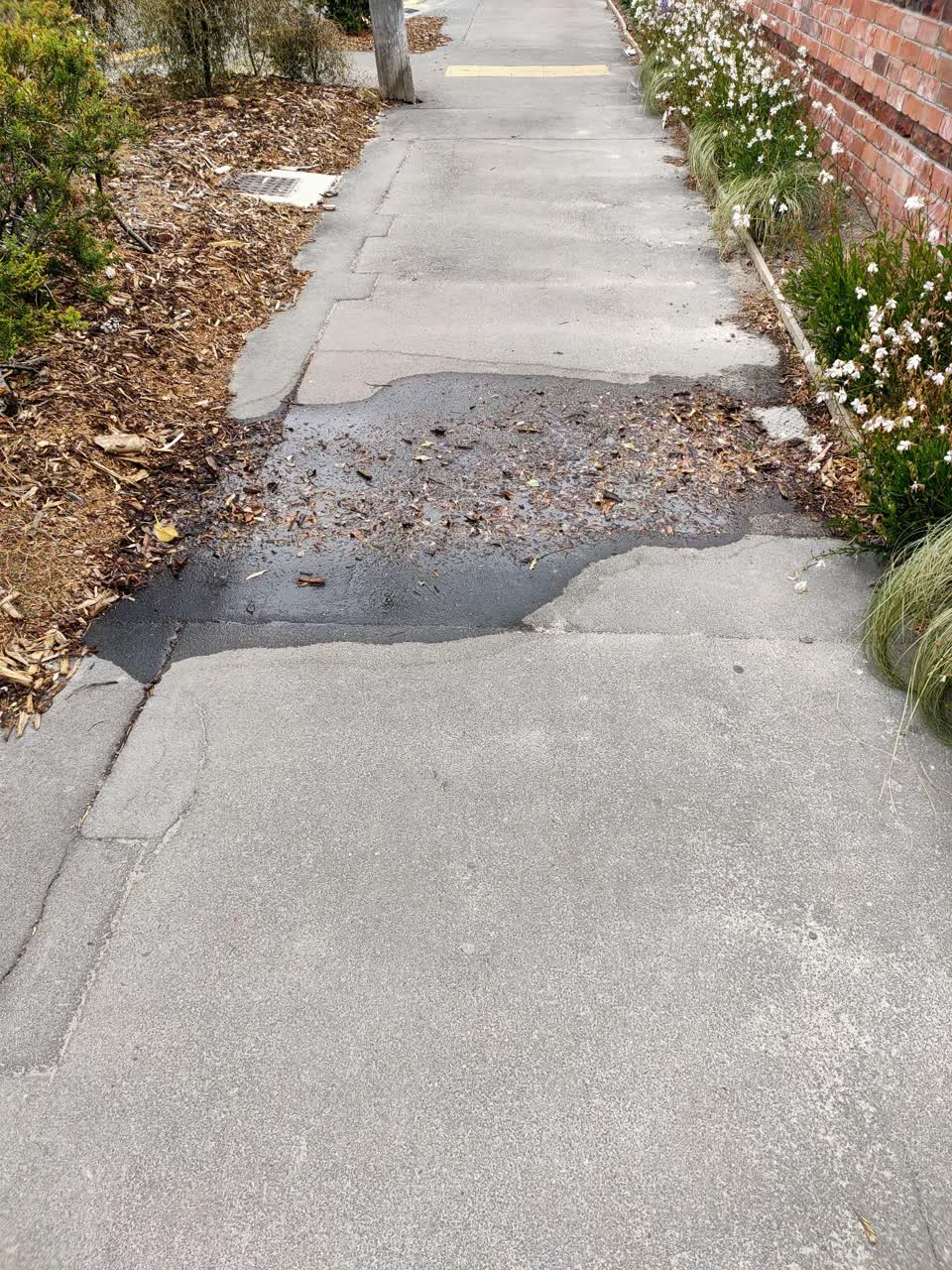 The photograph attached to this water leak report