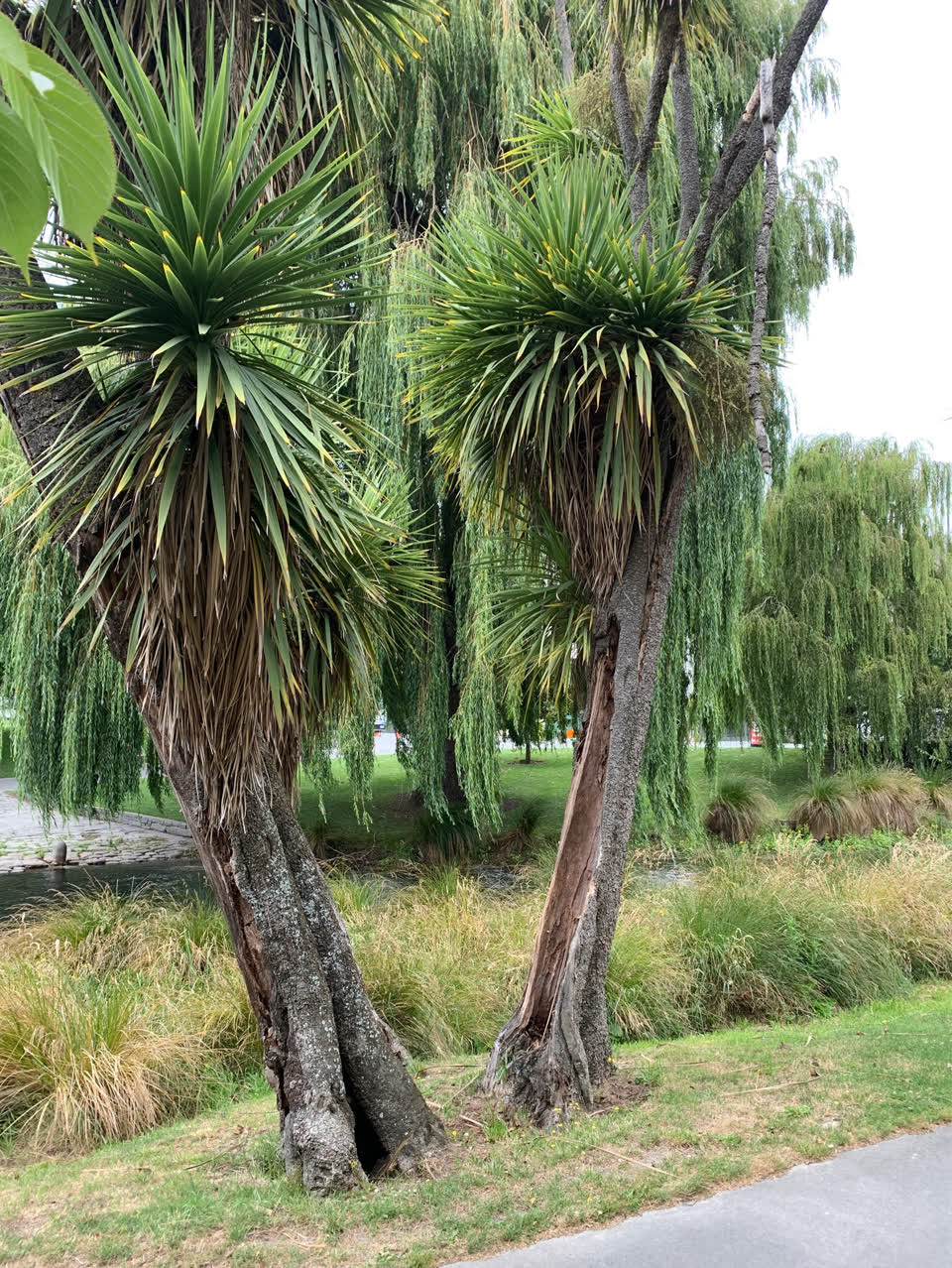 The photograph attached to this parks report