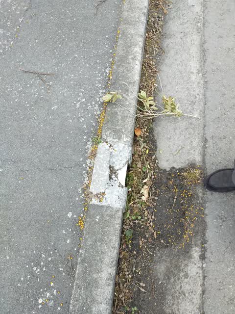Roading/Streets, a report photo