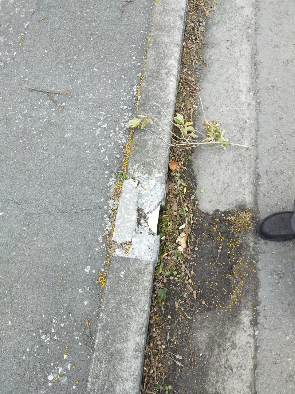 The photograph attached to this roading/streets report