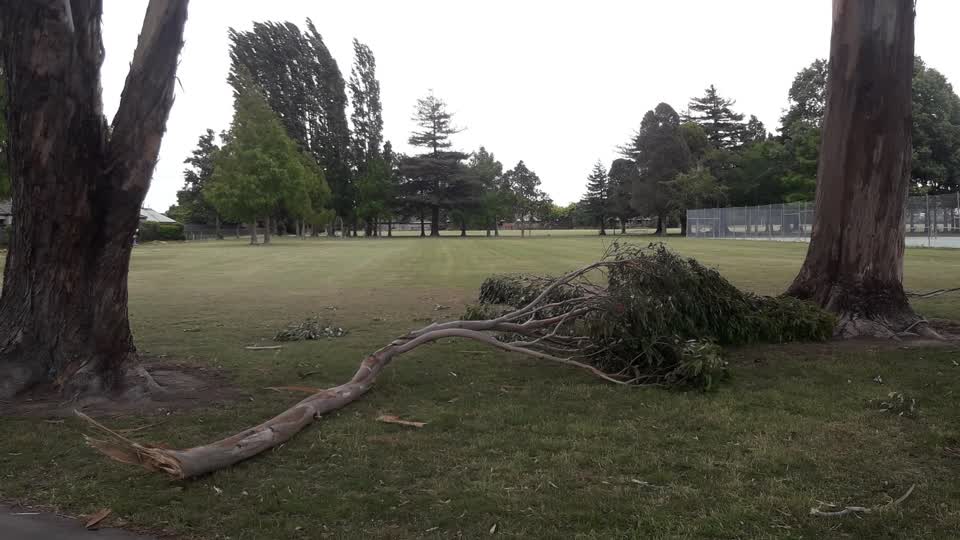 The photograph attached to this parks report