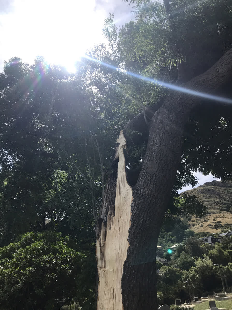 The photograph attached to this parks report