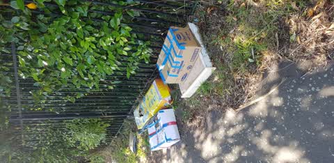 Rubbish/Recycling, a report photo