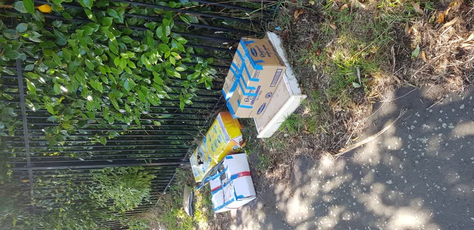 The photograph attached to this rubbish/recycling report