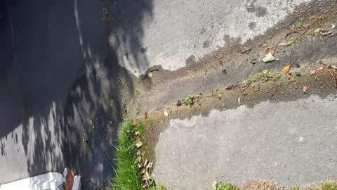 Water Leak, a report photo