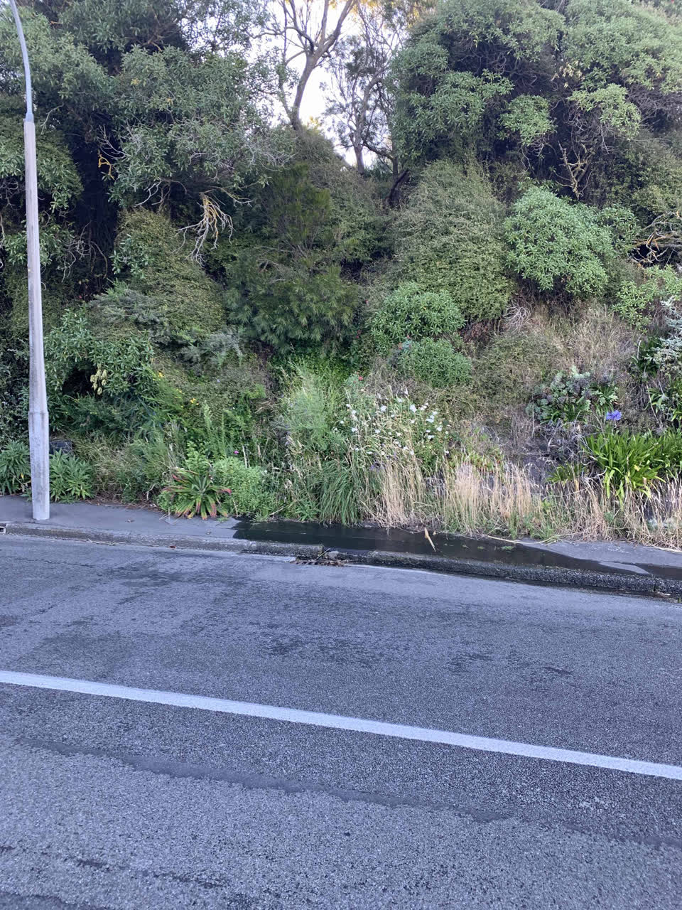 The photograph attached to this water leak report