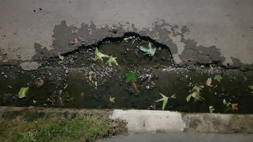The photograph attached to this roading/streets report