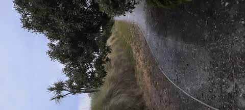 Parks, a report photo