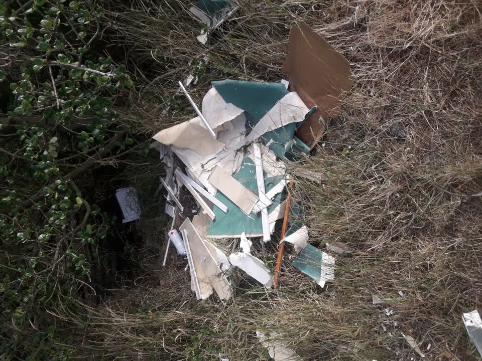 The photograph attached to this parks report