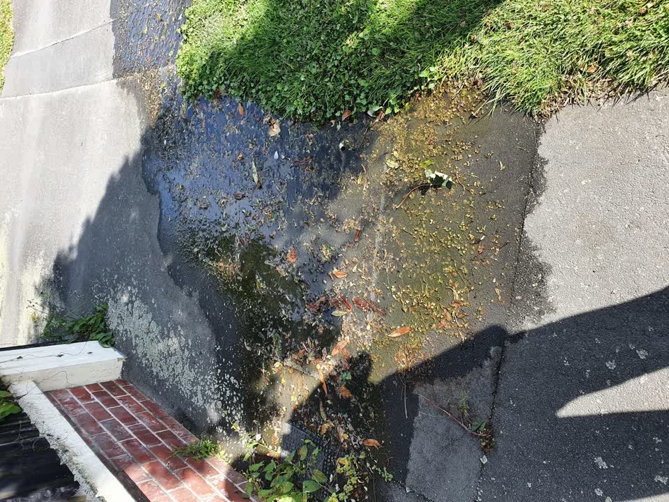 The photograph attached to this water leak report
