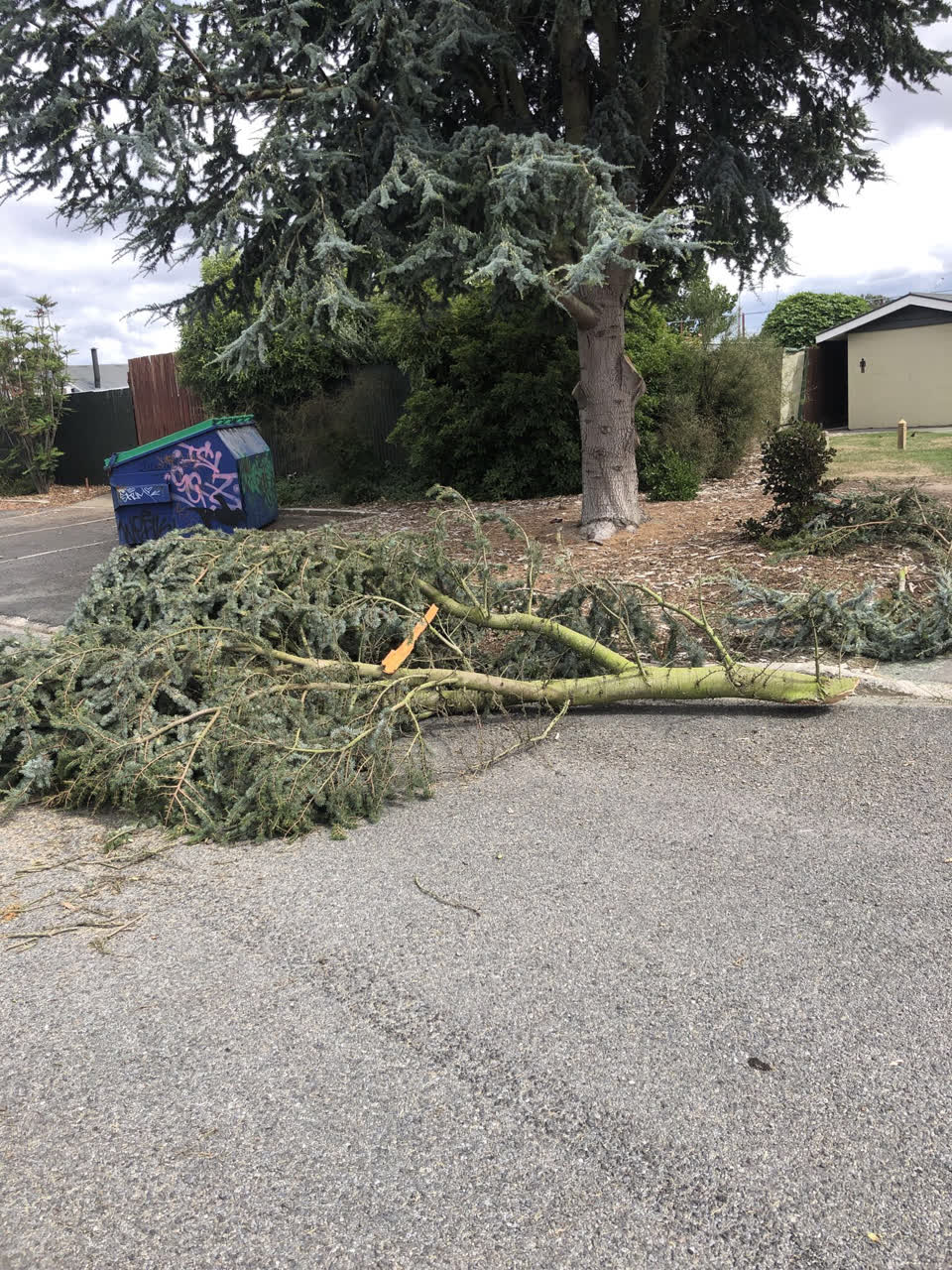 The photograph attached to this parks report