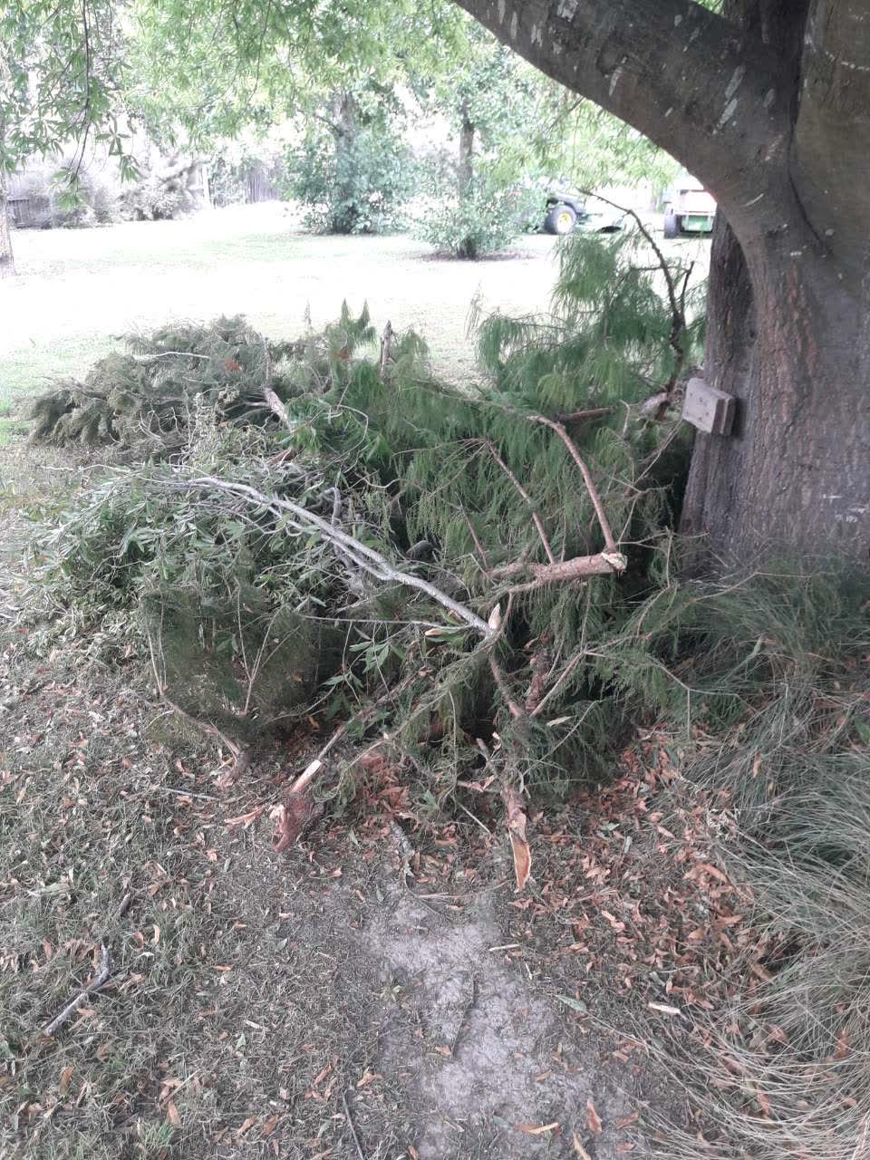The photograph attached to this parks report
