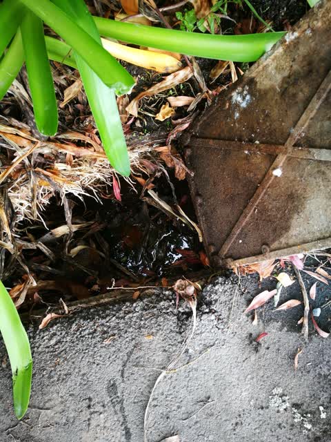 Water Leak, a report photo
