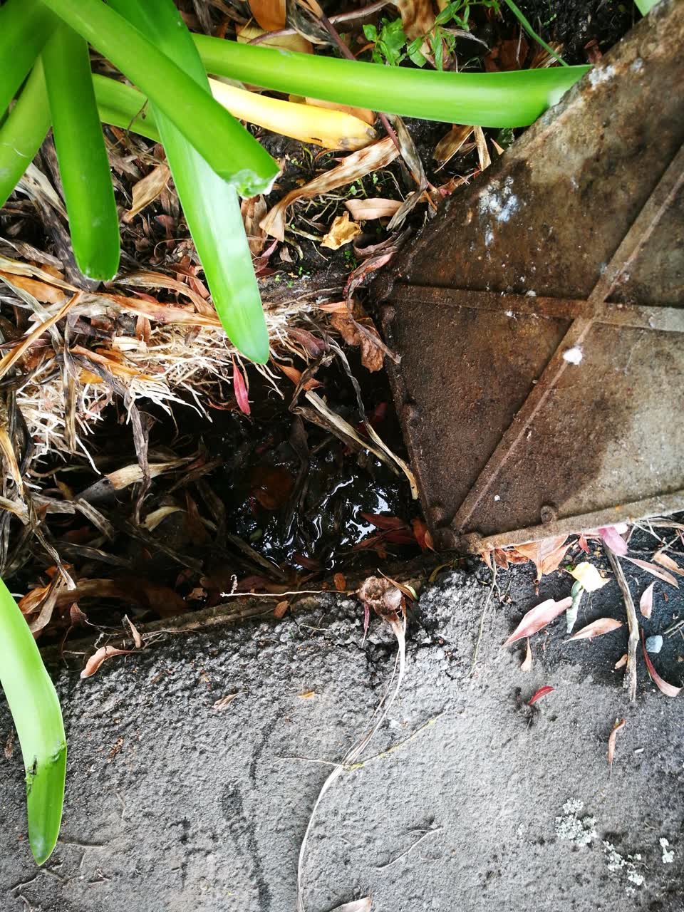 The photograph attached to this water leak report