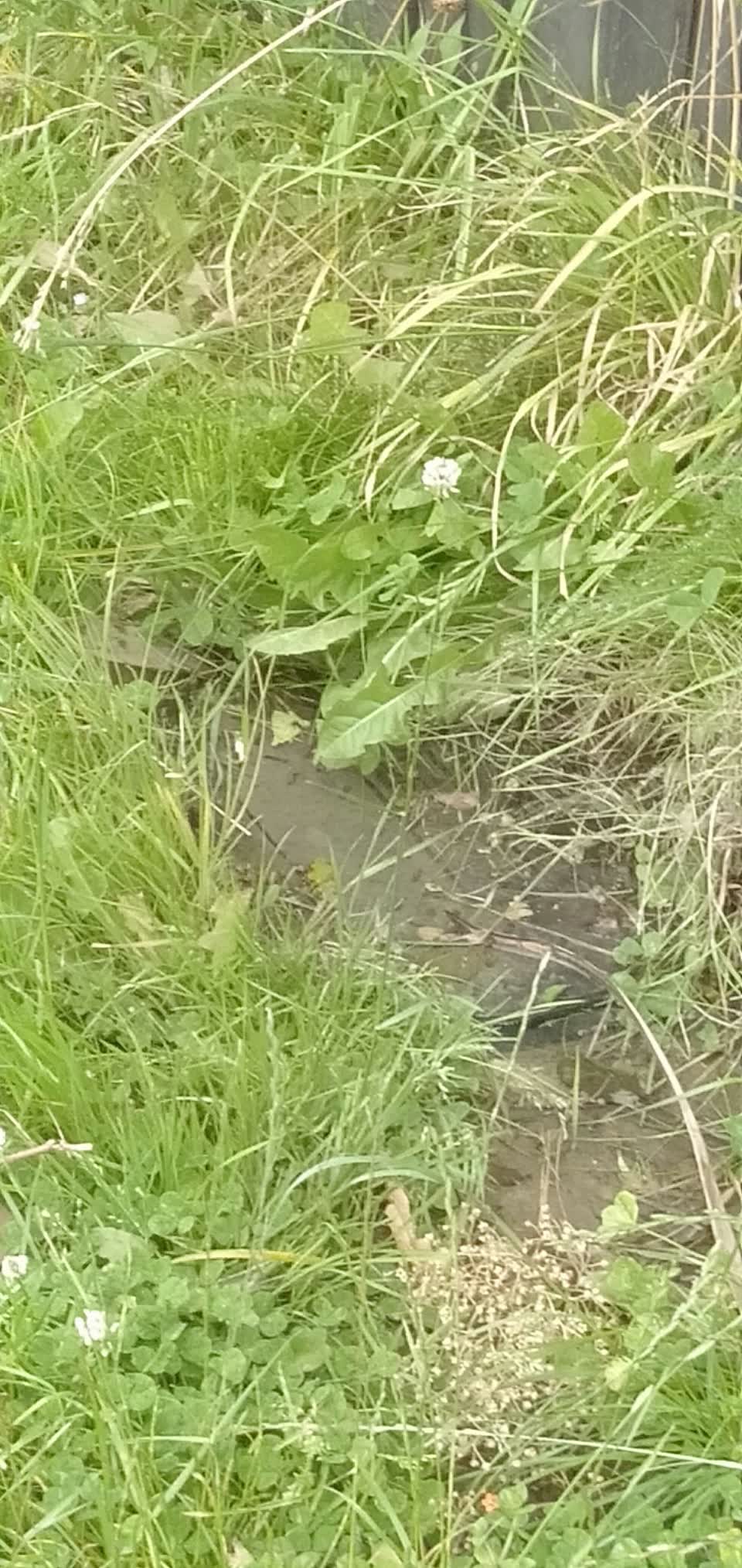 The photograph attached to this water leak report