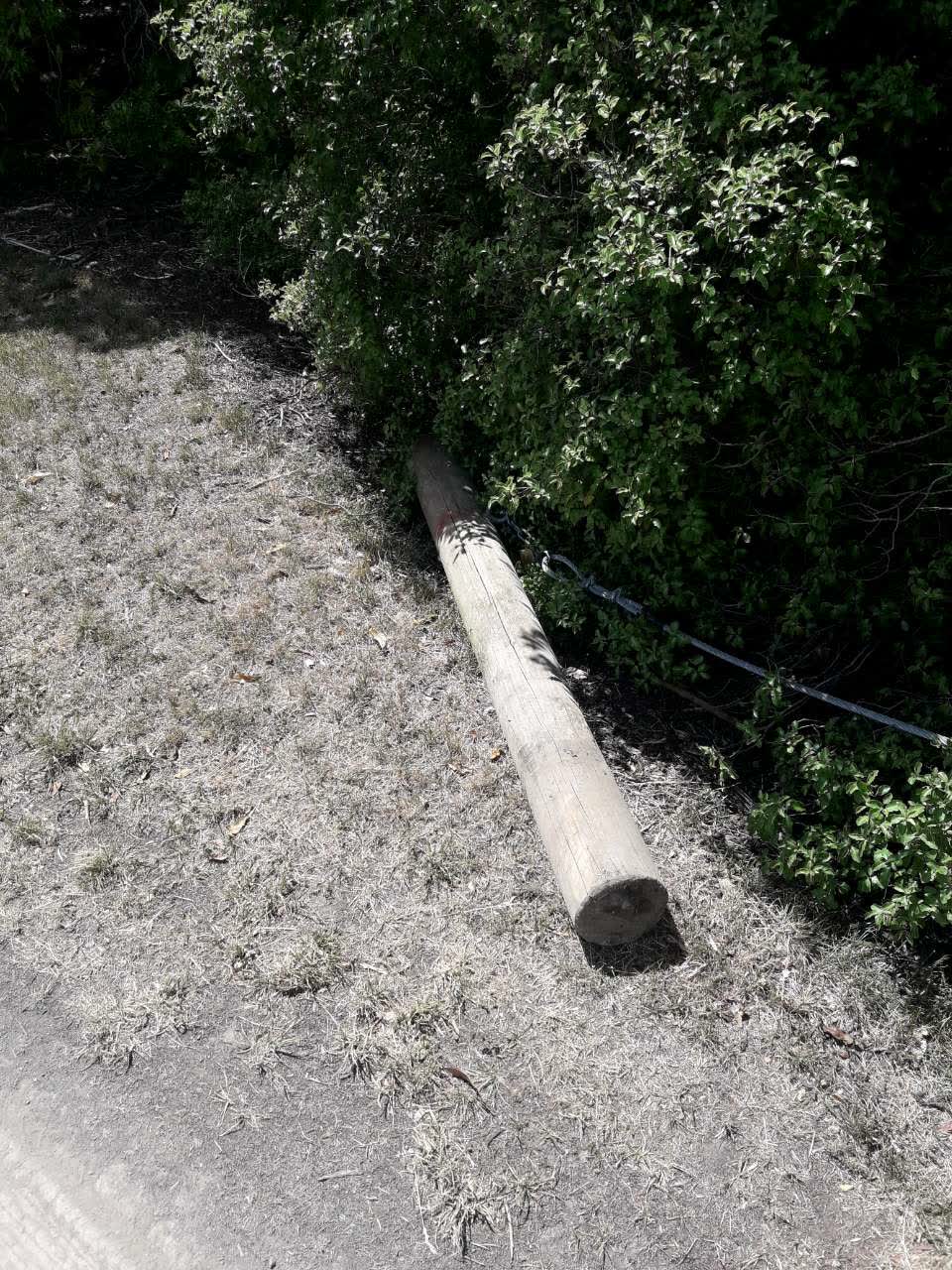 The photograph attached to this parks report